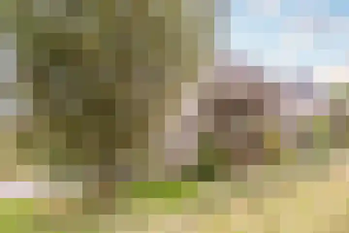 Fortwachter 34 Vijfhuizen thumbnail 15