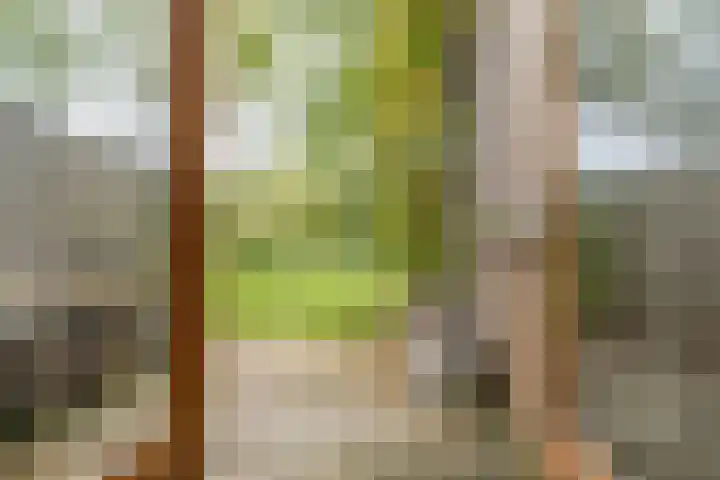 Fortwachter 34 Vijfhuizen thumbnail 21