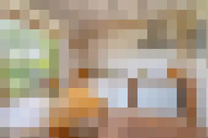 Fortwachter 34 Vijfhuizen thumbnail 22