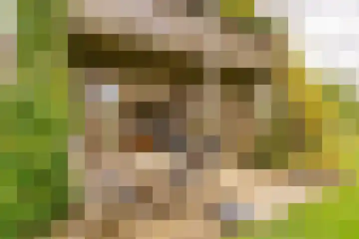 Fortwachter 34 Vijfhuizen thumbnail 26