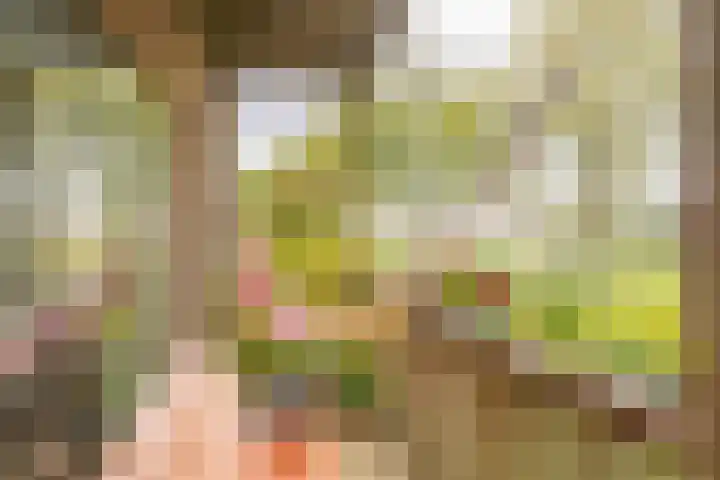 Fortwachter 34 Vijfhuizen thumbnail 33