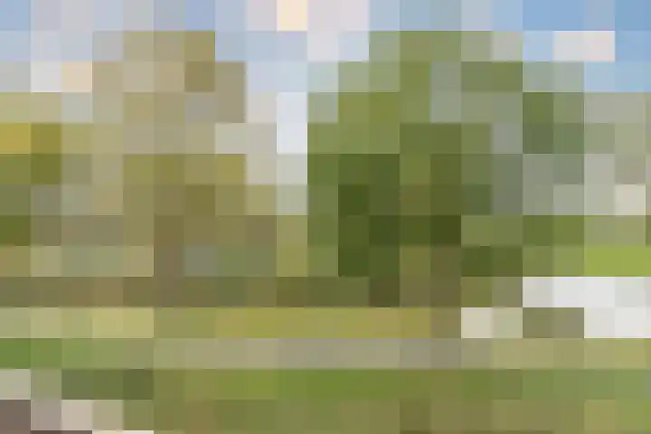 Fortwachter 34 Vijfhuizen thumbnail 34