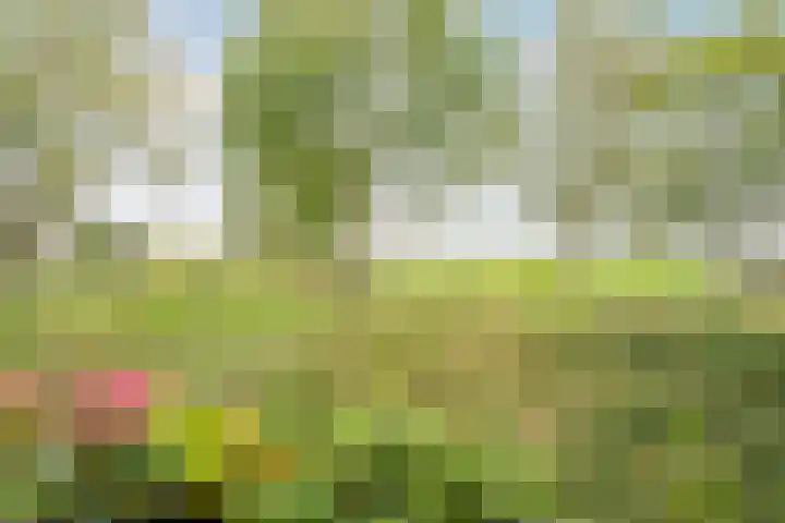 Fortwachter 34 Vijfhuizen thumbnail 35