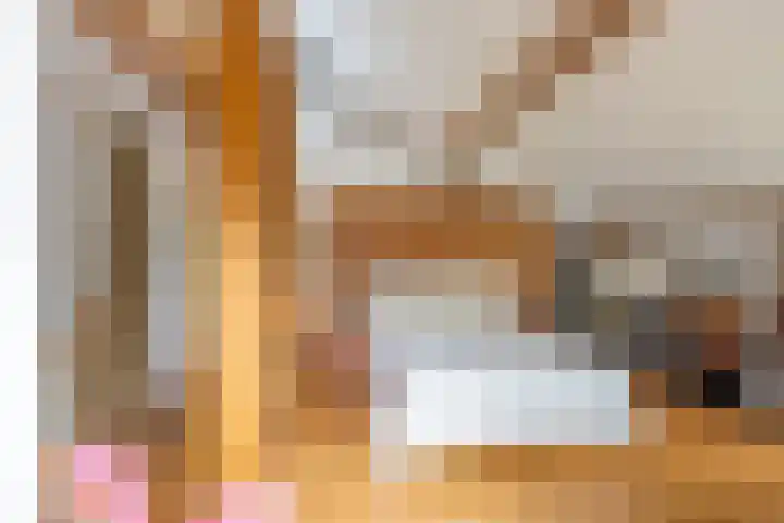 Fortwachter 34 Vijfhuizen thumbnail 37