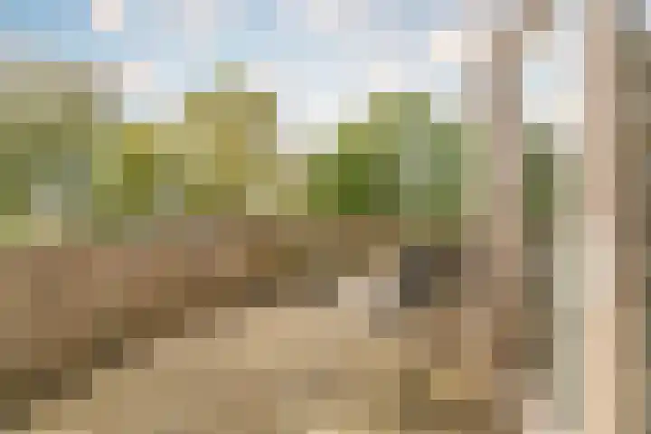 Fortwachter 34 Vijfhuizen thumbnail 45