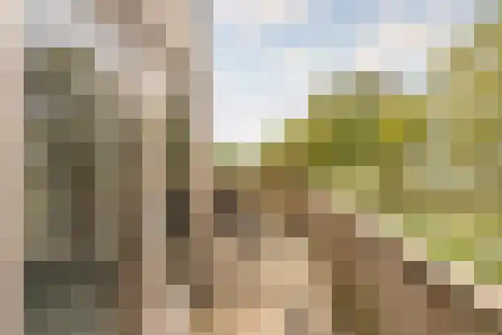 Fortwachter 34 Vijfhuizen thumbnail 46