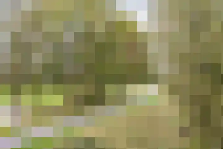 Fortwachter 34 Vijfhuizen thumbnail 47