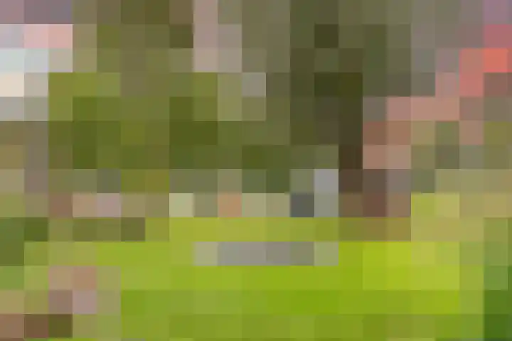Fortwachter 34 Vijfhuizen thumbnail 49