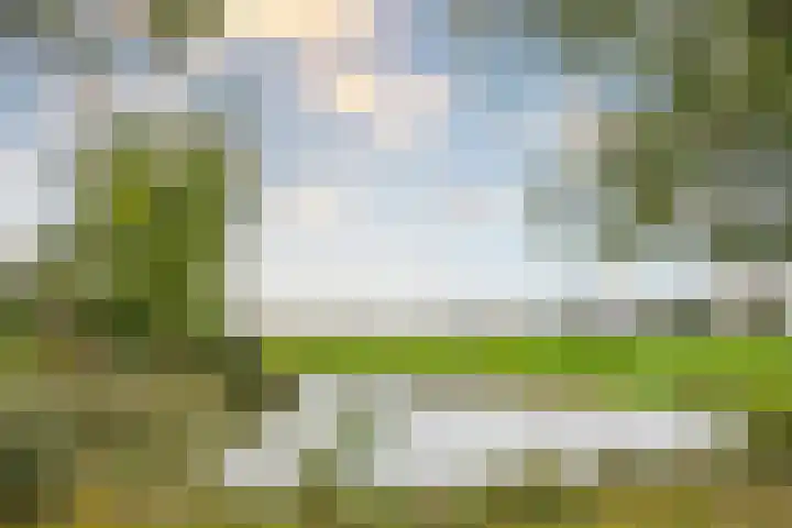 Fortwachter 34 Vijfhuizen thumbnail 9