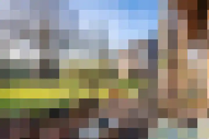 Fortwachter 8 Vijfhuizen thumbnail 29