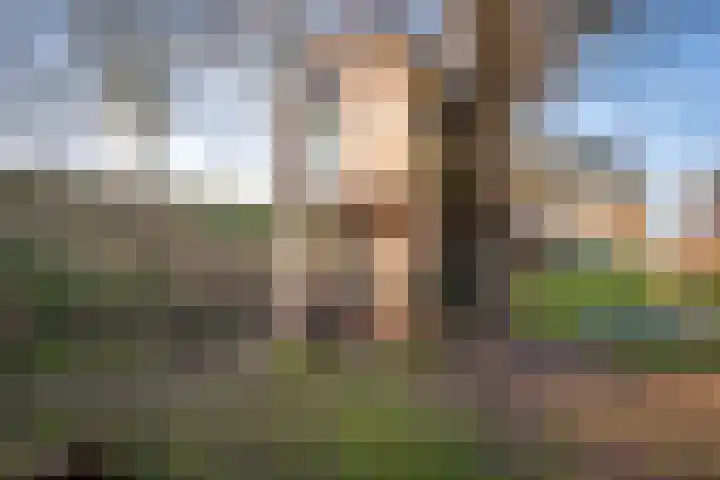 Fortwachter 8 Vijfhuizen thumbnail 34