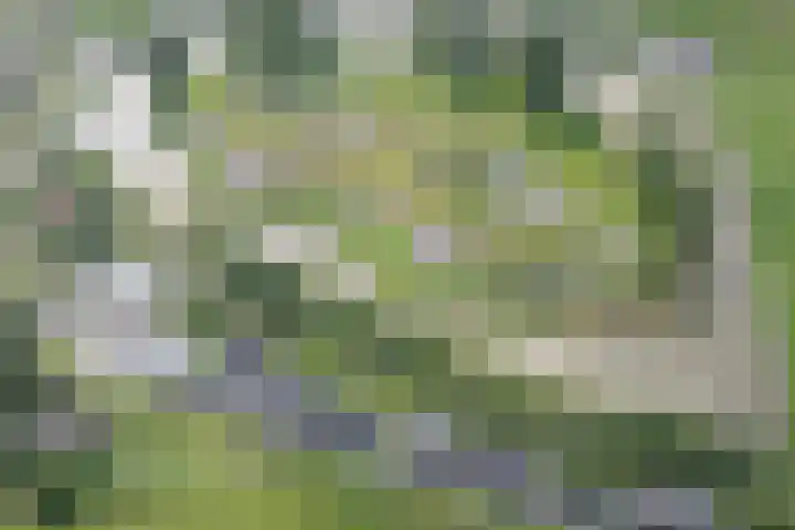 Fortwachter 8 Vijfhuizen thumbnail 50