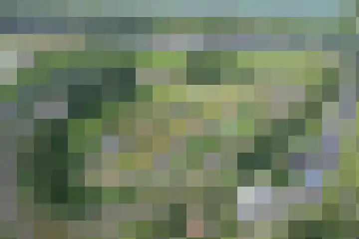 Fortwachter 8 Vijfhuizen thumbnail 51