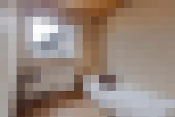 Fortweg 22 A Hoofddorp thumbnail 14