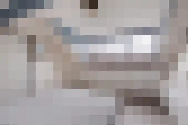 Fortweg 22 A Hoofddorp thumbnail 18