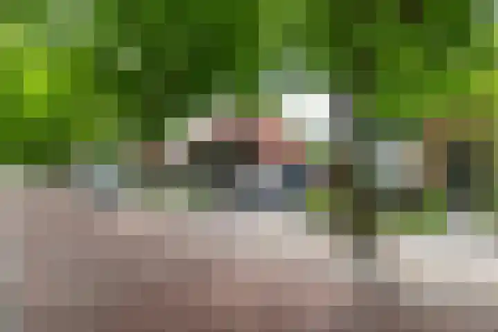 Fortweg 22 A Hoofddorp thumbnail 25