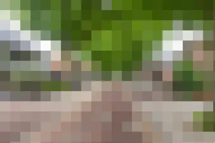 Fortweg 22 A Hoofddorp thumbnail 26