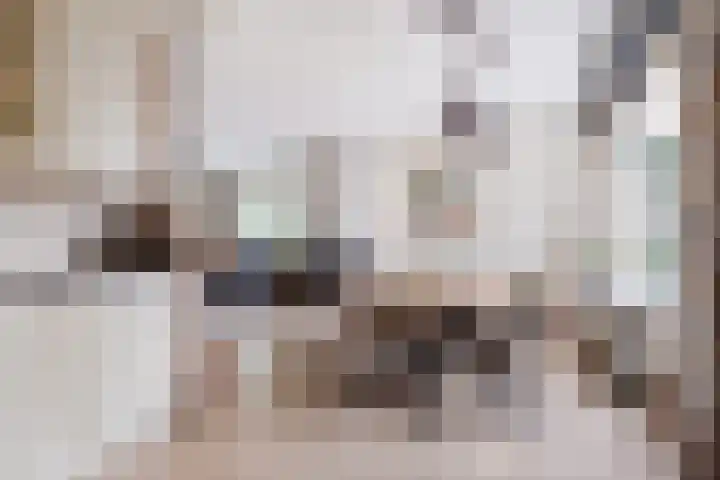 Fortweg 22 A Hoofddorp thumbnail 4