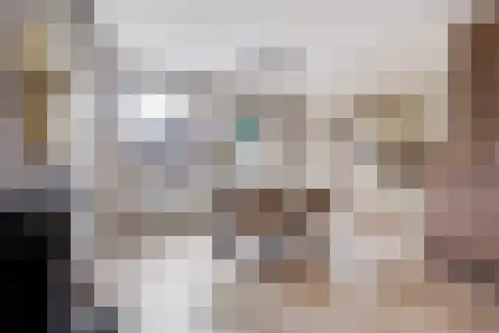 Fortweg 22 A Hoofddorp thumbnail 6