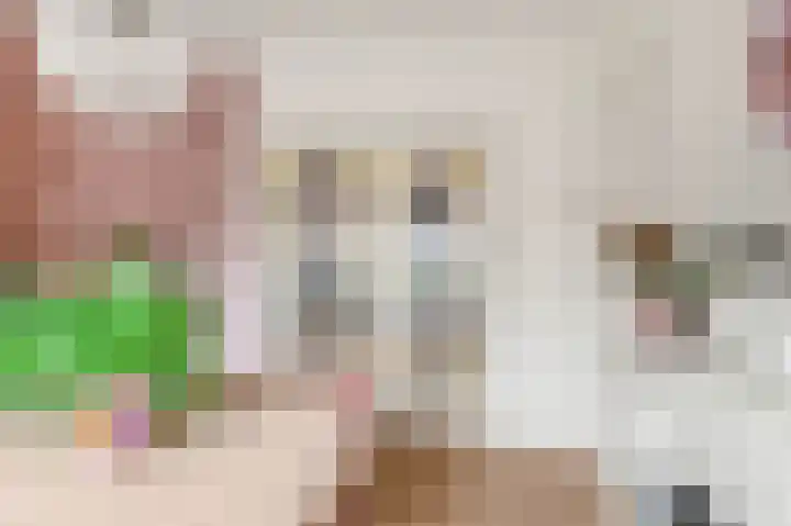 Fortweg 4 Hoofddorp thumbnail 15