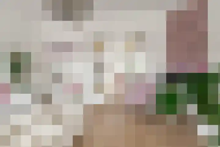 Fortweg 4 Hoofddorp thumbnail 18