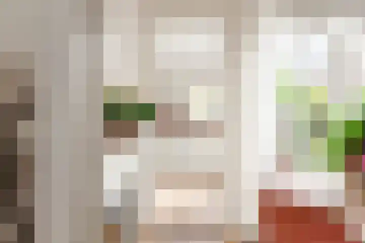 Fortweg 4 Hoofddorp thumbnail 21
