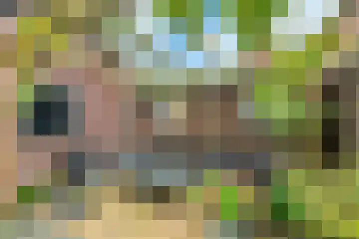 Fortweg 4 Hoofddorp thumbnail 34
