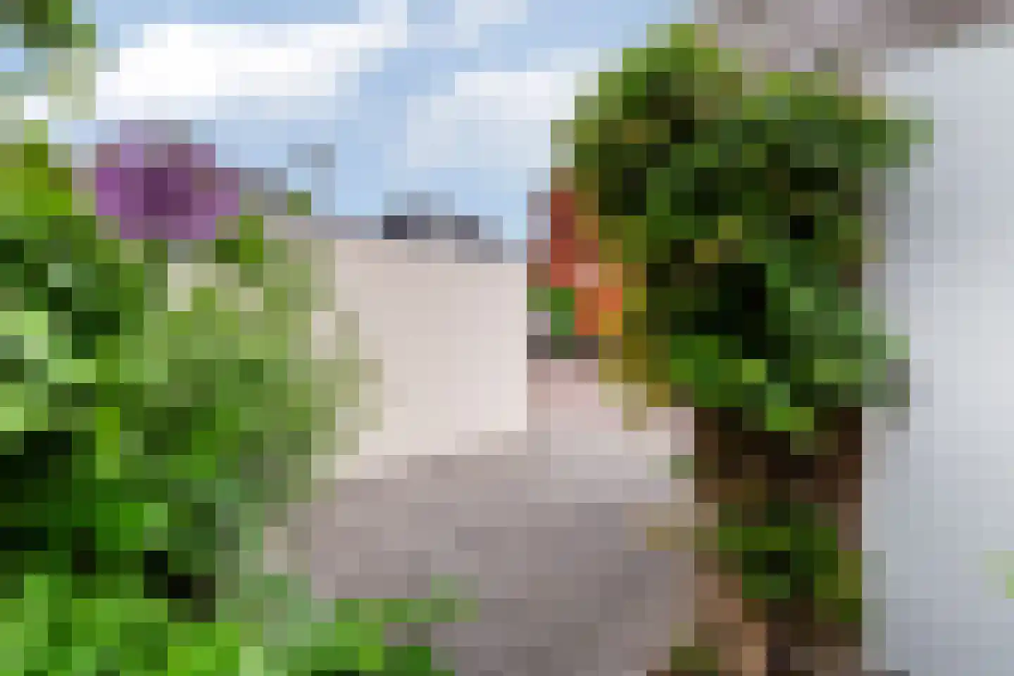 Forum 25 Naaldwijk thumbnail 14