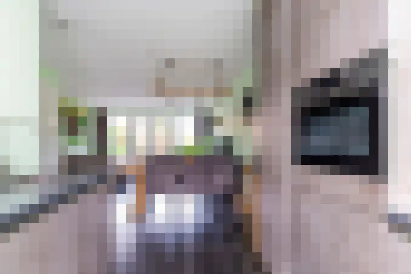 Forum 25 Naaldwijk thumbnail 21