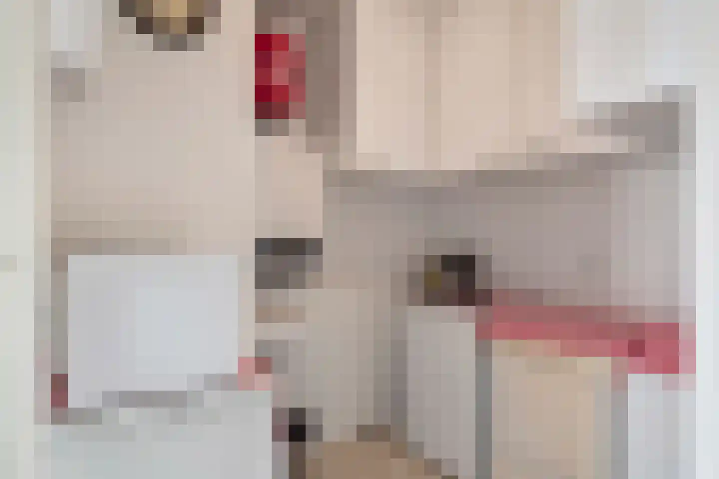 Forum 44 Born thumbnail 17