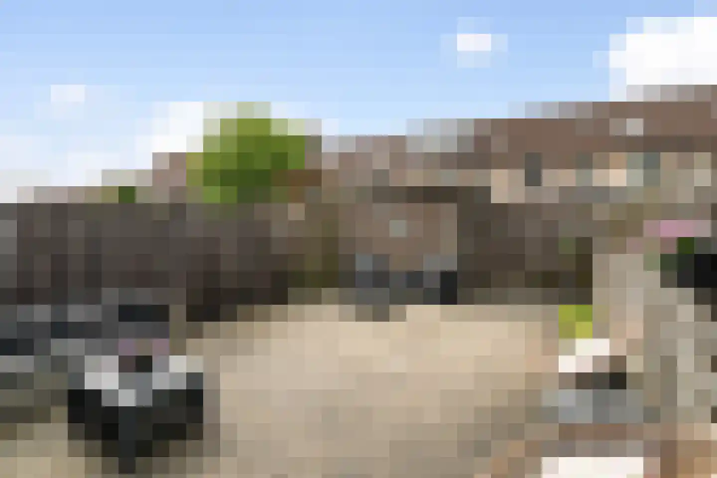 Forum 46 Poortugaal thumbnail 5