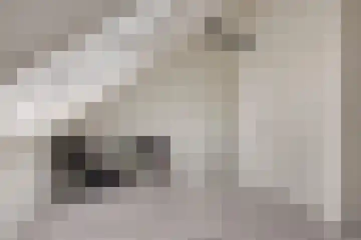 Forum 6 Naaldwijk thumbnail 21
