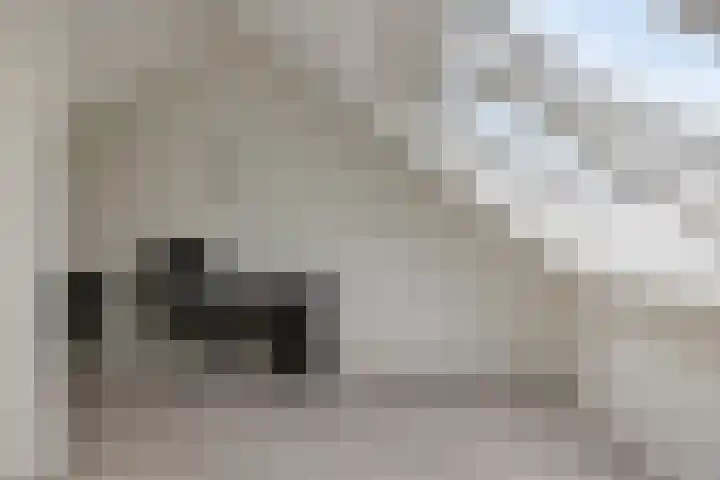 Forum 6 Naaldwijk thumbnail 22