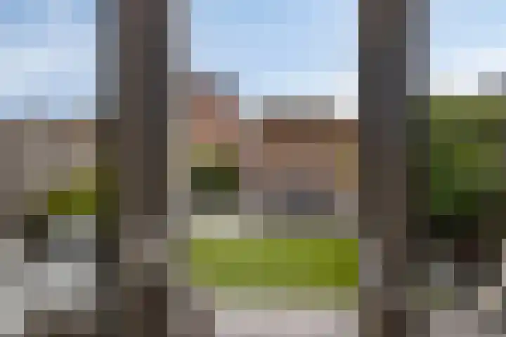 Forum 6 Naaldwijk thumbnail 23