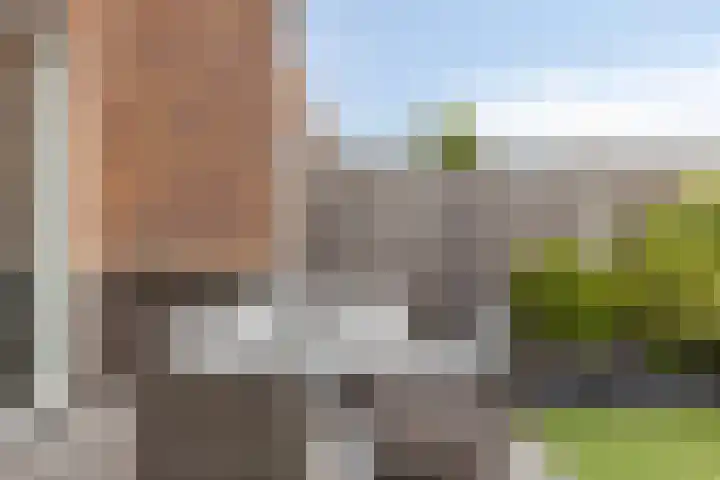 Forum 6 Naaldwijk thumbnail 25