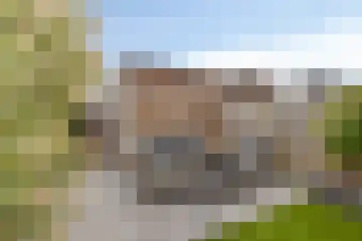 Forum 6 Naaldwijk thumbnail 26