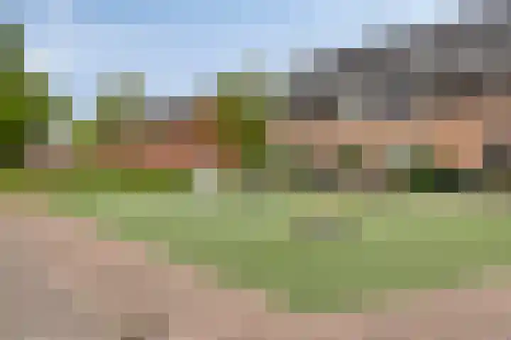 Forum 6 Naaldwijk thumbnail 29