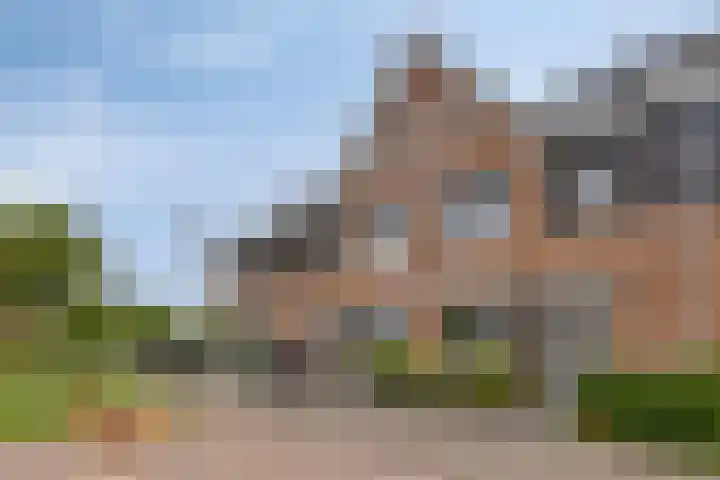 Forum 6 Naaldwijk thumbnail 30