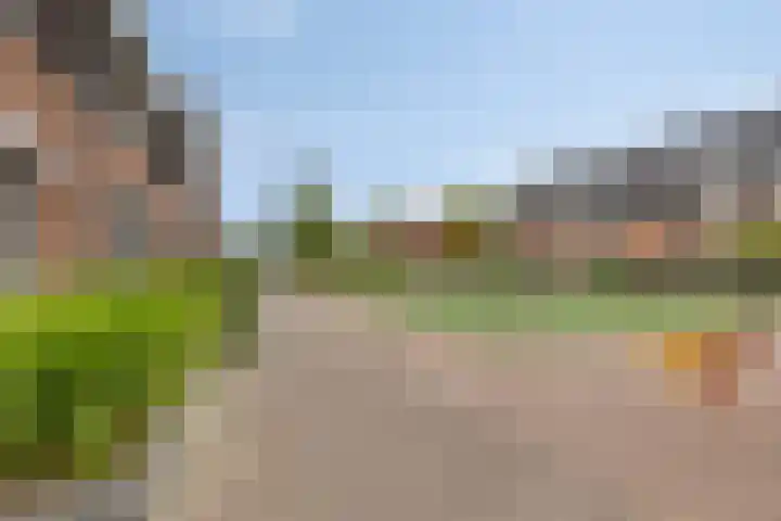 Forum 6 Naaldwijk thumbnail 31