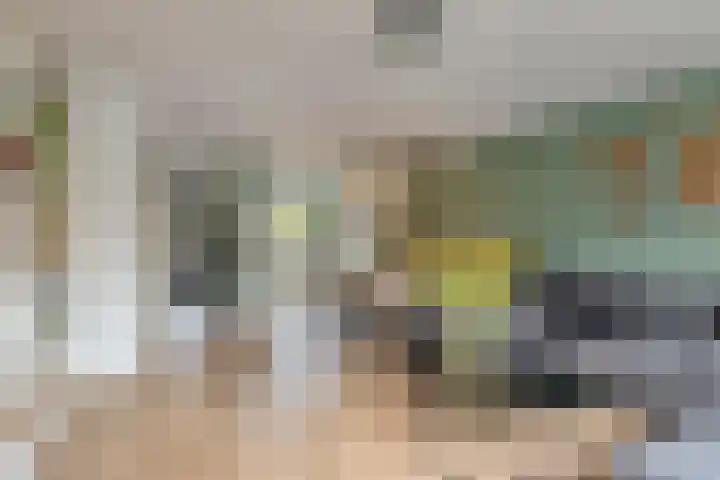 Forum 6 Naaldwijk thumbnail 4