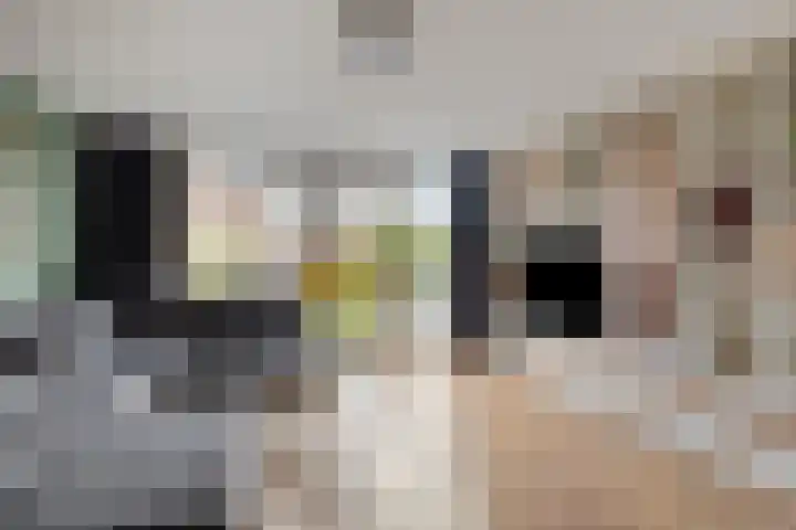 Forum 6 Naaldwijk thumbnail 5