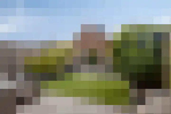Forum 6 Naaldwijk thumbnail 6