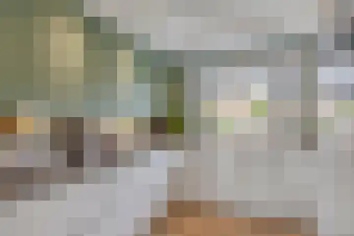 Forum 6 Naaldwijk thumbnail 8