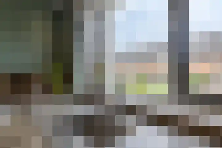 Forum 6 Naaldwijk thumbnail 9