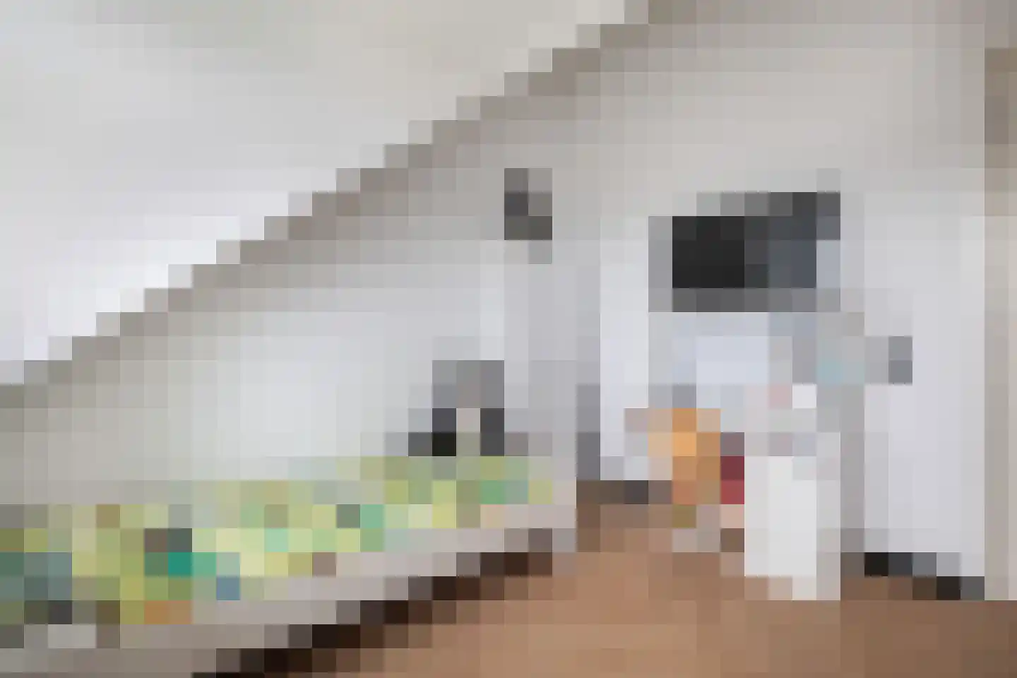 Forum 7 Naaldwijk thumbnail 32