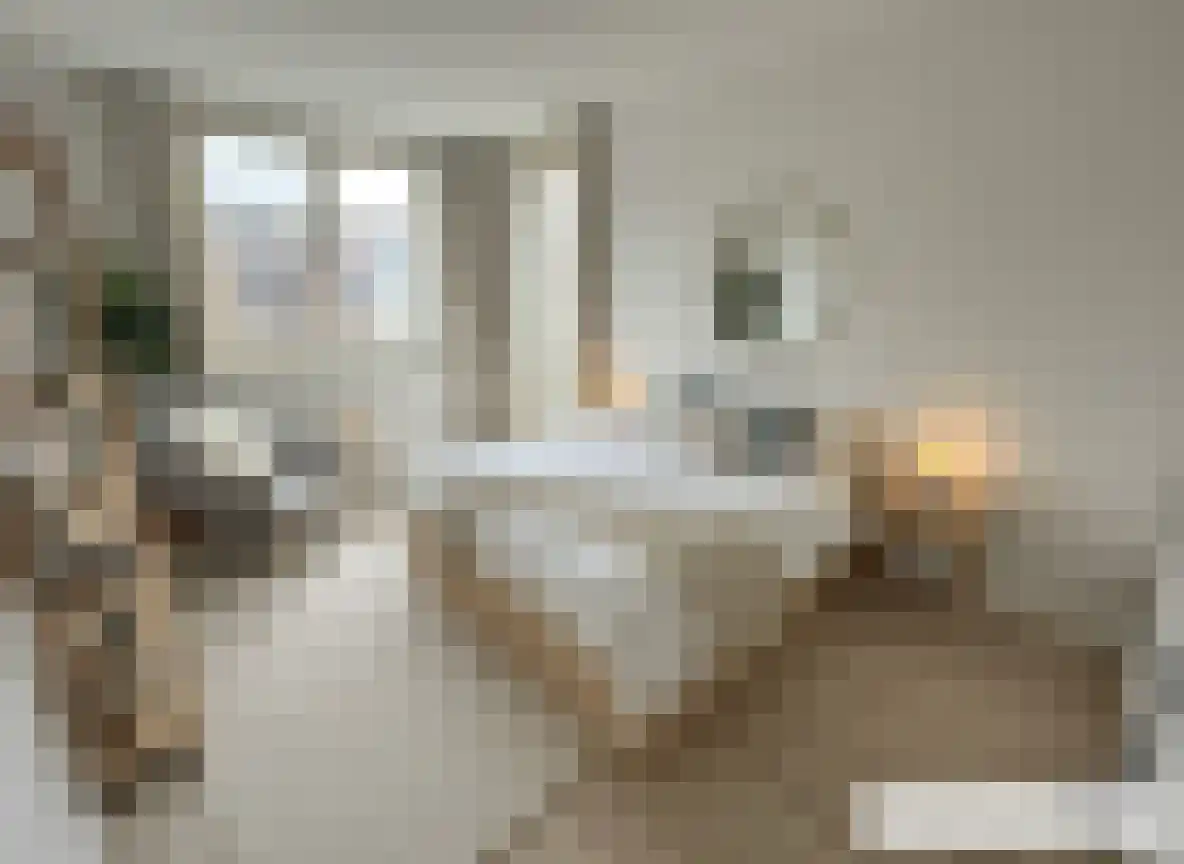 Fosforstraat 20 Eindhoven thumbnail 4