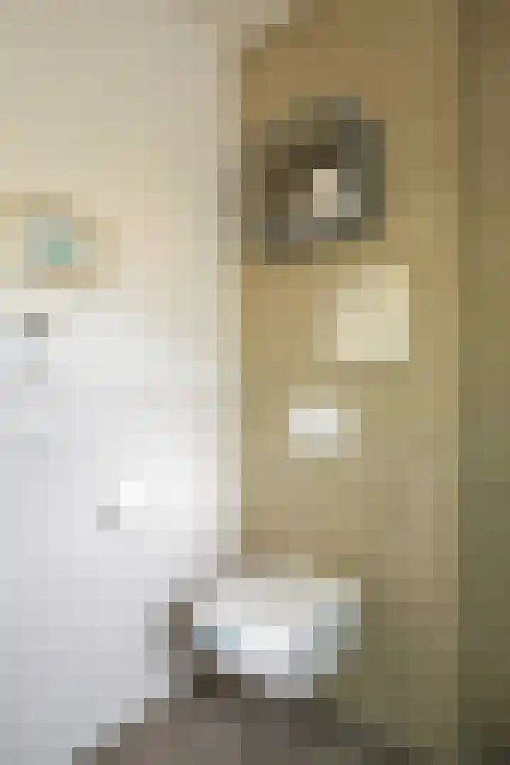 Fosforstraat 22 Eindhoven thumbnail 17