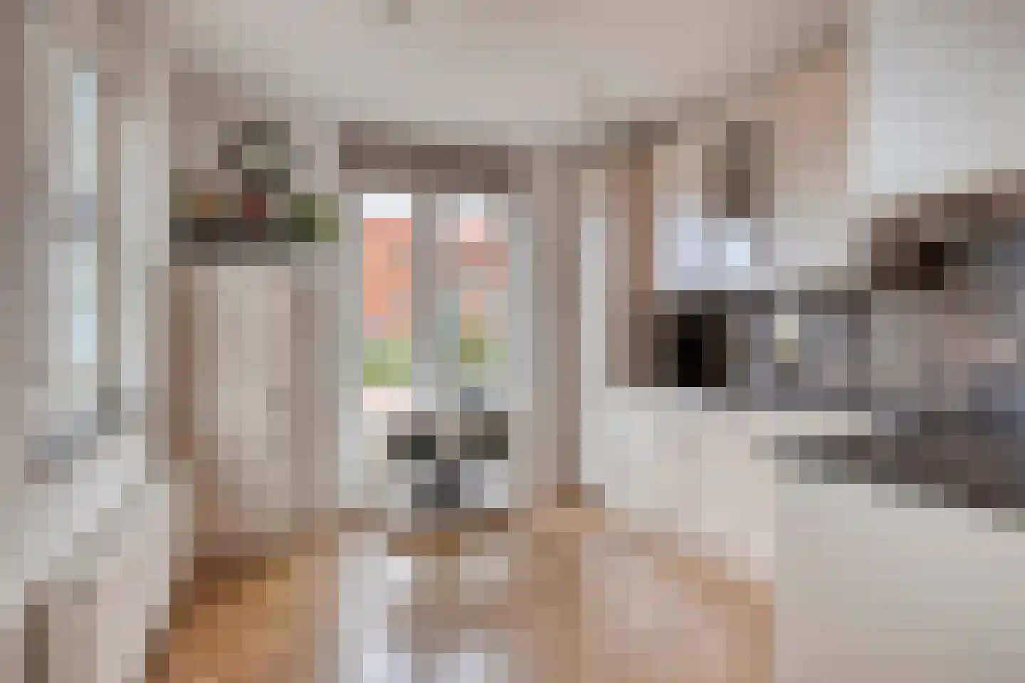Fossa 1 Noordwijkerhout thumbnail 13