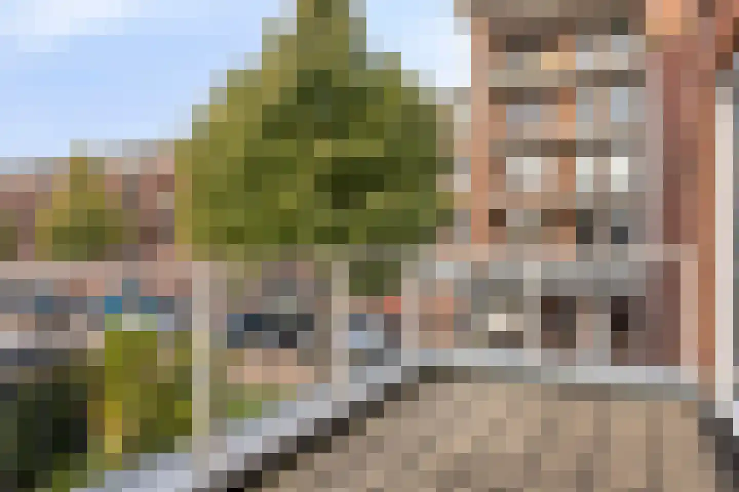 Fossa 1 Noordwijkerhout thumbnail 18
