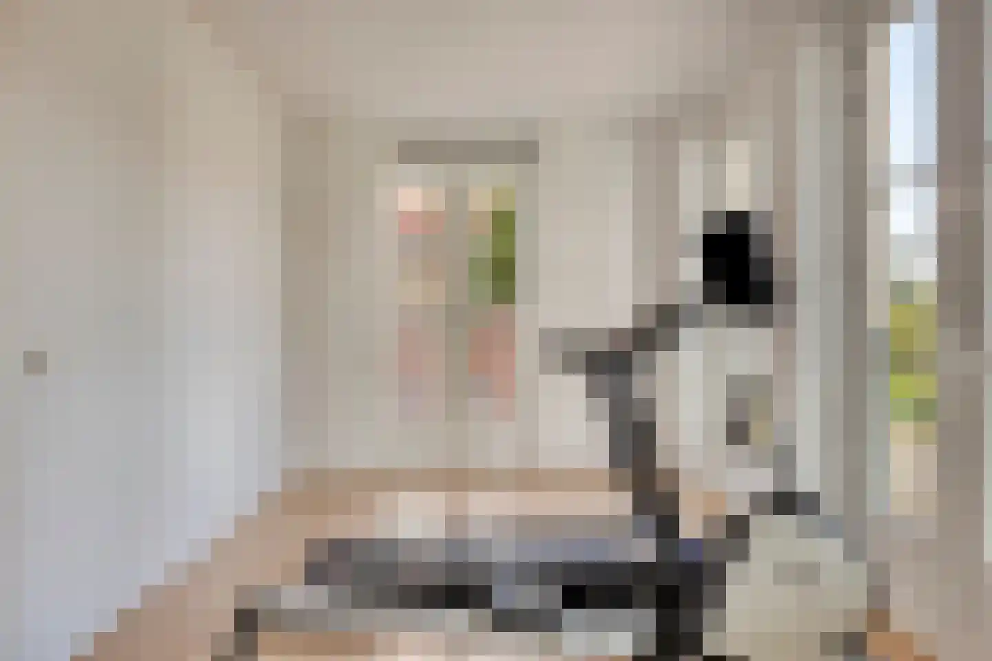 Fossa 1 Noordwijkerhout thumbnail 24